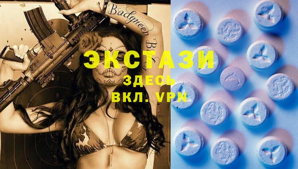 индика Арсеньев
