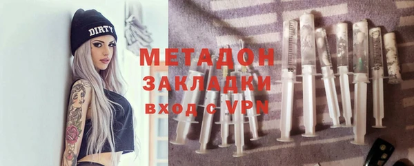 индика Арсеньев