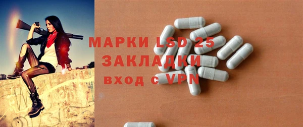 индика Арсеньев