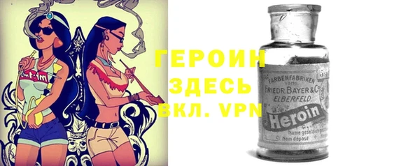 индика Арсеньев