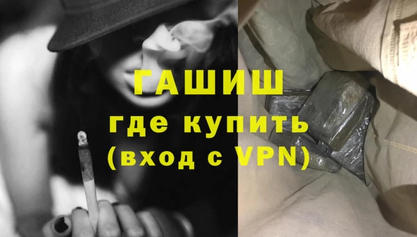 индика Арсеньев