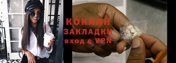 индика Арсеньев