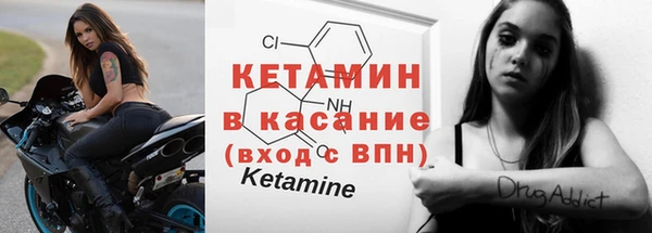 индика Арсеньев