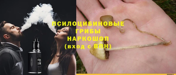 индика Арсеньев
