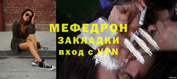 индика Арсеньев