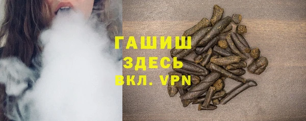индика Арсеньев