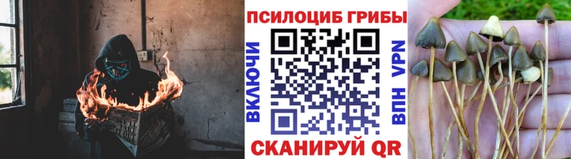 ОМГ ОМГ онион  Орёл  Галлюциногенные грибы Magic Shrooms 